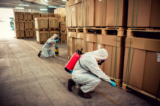 Best Pest Control Near Me in Bayou Blue, LA
