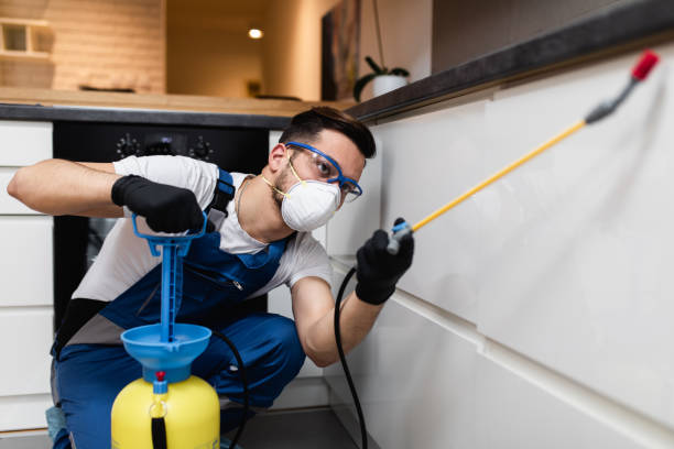 Best Ant Control Services  in Bayou Blue, LA