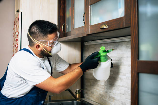 Best Affordable Pest Control Services  in Bayou Blue, LA
