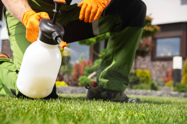 Best Emergency Pest Control  in Bayou Blue, LA