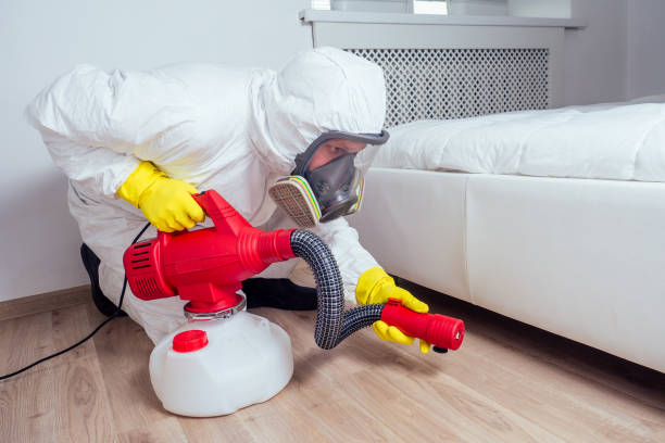 Best Pest Control for Restaurants  in Bayou Blue, LA