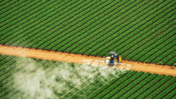 Professional Pest Control in Bayou Blue, LA