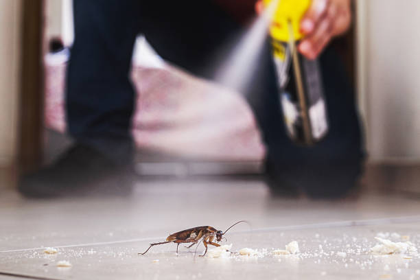 Best Residential Pest Control  in Bayou Blue, LA